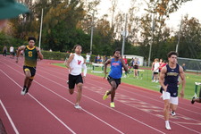 Enlarge photo 731