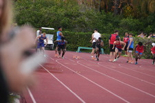Enlarge photo 751