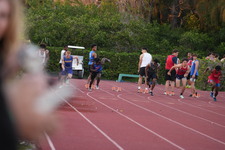 Enlarge photo 754