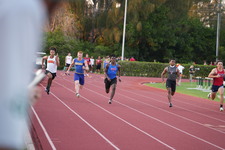 Enlarge photo 772