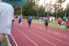Enlarge photo 783