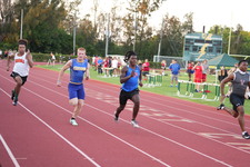 Enlarge photo 785