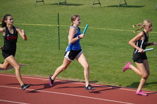 Enlarge photo 51