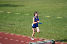 Enlarge photo 143
