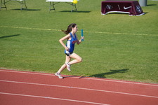 Enlarge photo 147