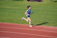 Enlarge photo 148