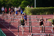 Enlarge photo 219