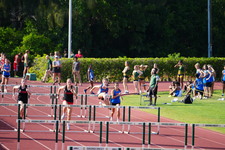 Enlarge photo 218