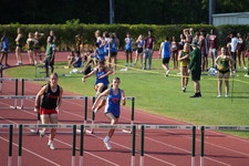 Enlarge photo 196