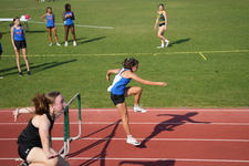 Enlarge photo 137