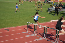 Enlarge photo 215