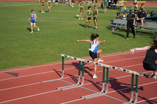 Enlarge photo 173