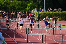 Enlarge photo 125