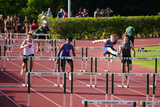 Enlarge photo 155