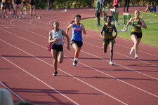 Enlarge photo 216