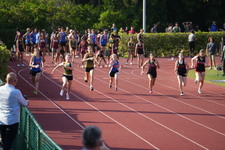 Enlarge photo 151