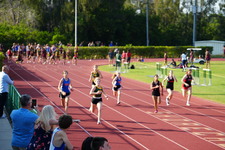 Enlarge photo 205