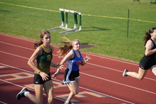 Enlarge photo 193