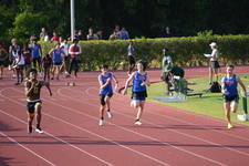 Enlarge photo 162