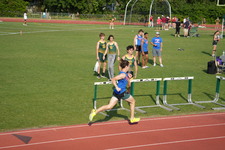 Enlarge photo 231