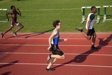 Enlarge photo 237