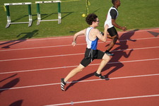 Enlarge photo 239