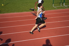 Enlarge photo 241