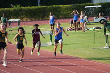 Enlarge photo 243