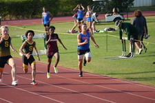 Enlarge photo 246