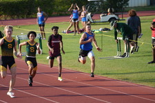 Enlarge photo 249