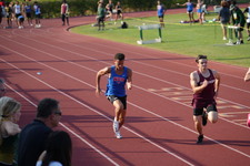 Enlarge photo 251
