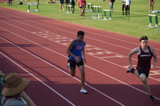 Enlarge photo 255
