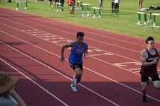 Enlarge photo 257