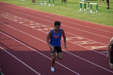 Enlarge photo 259