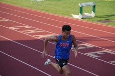 Enlarge photo 262