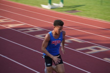 Enlarge photo 263