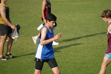 Enlarge photo 265