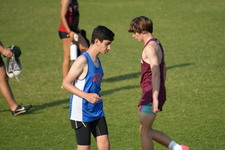 Enlarge photo 269