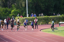 Enlarge photo 277