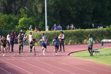 Enlarge photo 276