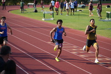 Enlarge photo 278