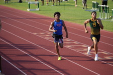 Enlarge photo 281