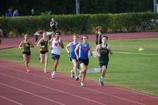 Enlarge photo 308