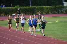 Enlarge photo 310