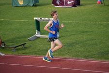 Enlarge photo 317