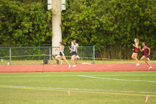 Enlarge photo 445