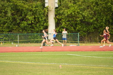 Enlarge photo 446