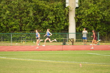 Enlarge photo 449