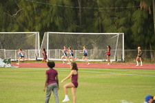 Enlarge photo 481