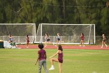 Enlarge photo 483